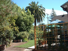 Beautifully landscaped backyard